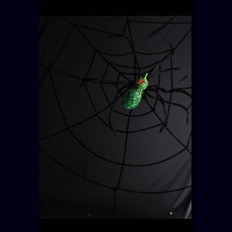 Toile d'araignée noire géante 220 cm et araignée fluo verte et lumineuse