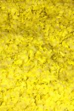 Confetti jaune fluo M1 1kg