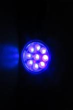 Lampe torche UV 9 Leds 395nm