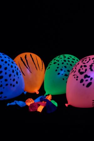 50 Ballons Fluo Safari assortiment de couleurs