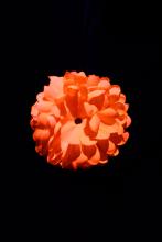 Pince fleur orange fluo décoration 